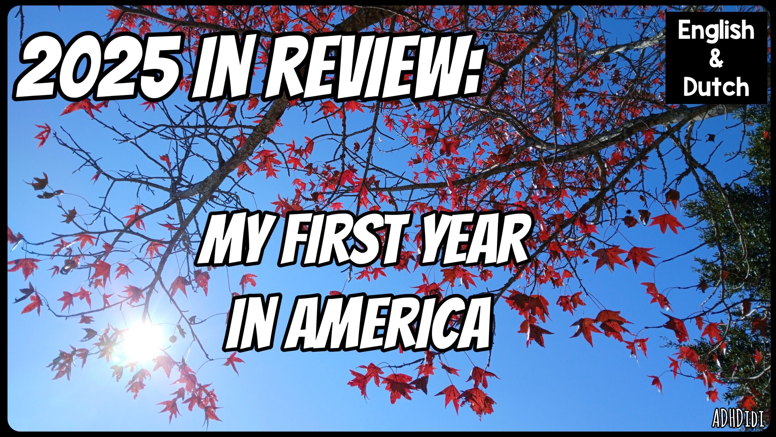 Cover image for blog post "2025 in review: my first year in America".